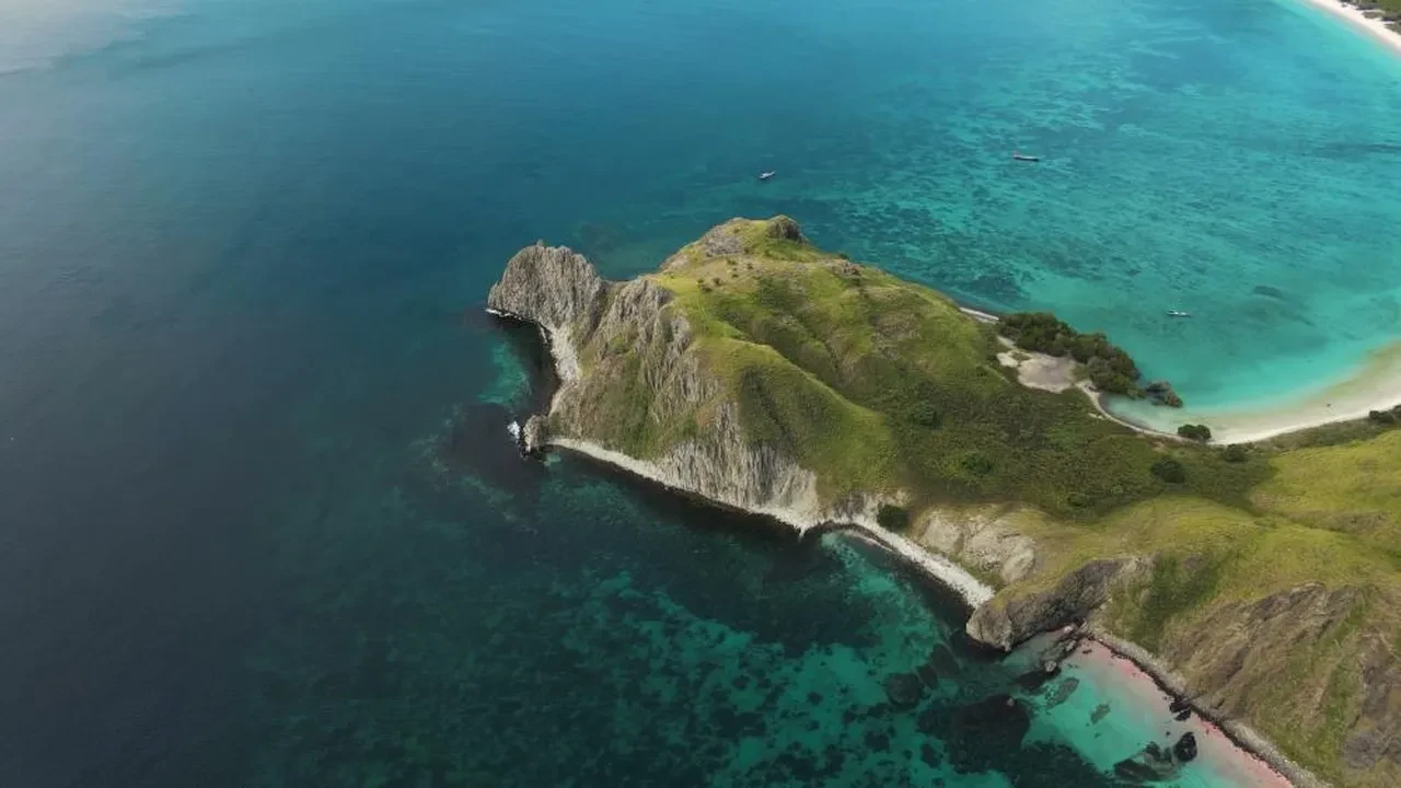 Komodo ejderi saldırısında kolunu kaybetti! Çocuk için Türk ekip seferber oldu