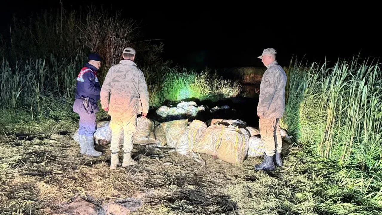 Van'da kaçak avlanmış 15 ton inci kefali ele geçirildi  