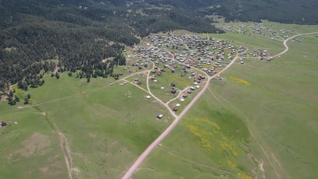 Yaylalar hayvanların çan sesi ile şenlendi: İşte doğa ve sürülerin eşsiz buluşması