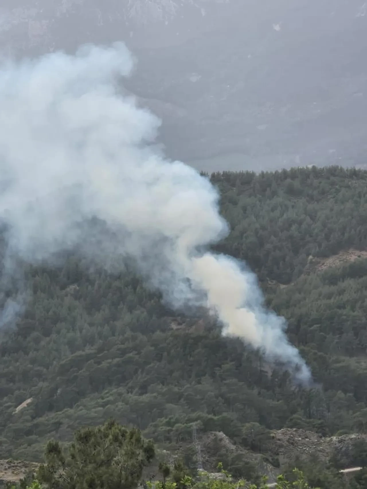 Antalya Kumluca'da orman yangını!