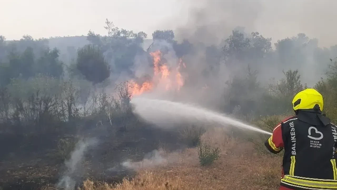 Balıkesir’de bir haftada 14 yangın vakası!