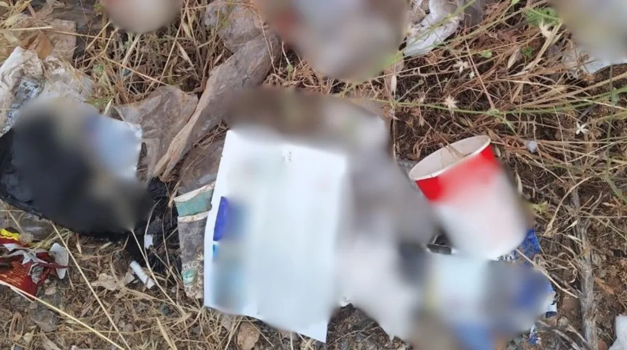 Bodrum'da çöp atan otobüslere ceza yağdı