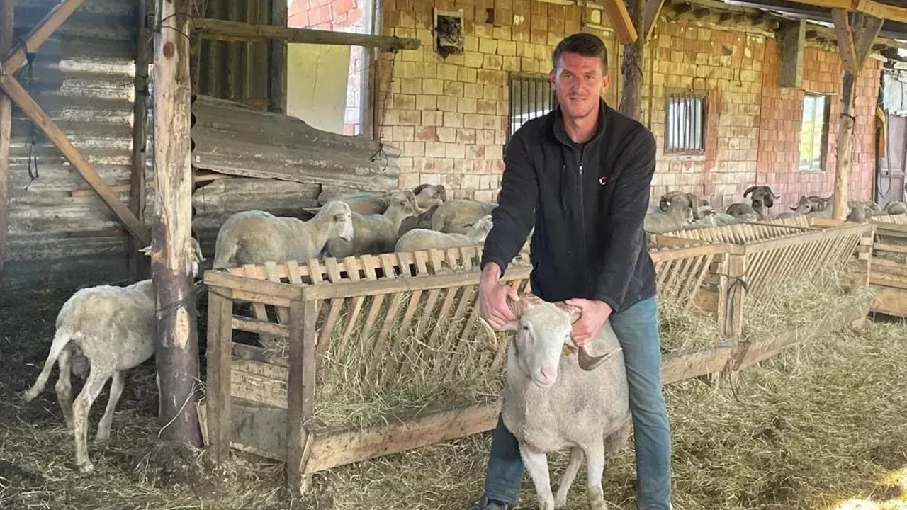 Bursa’da besicinin düğün hayali: Kurbanlık satışıyla evlenecek!