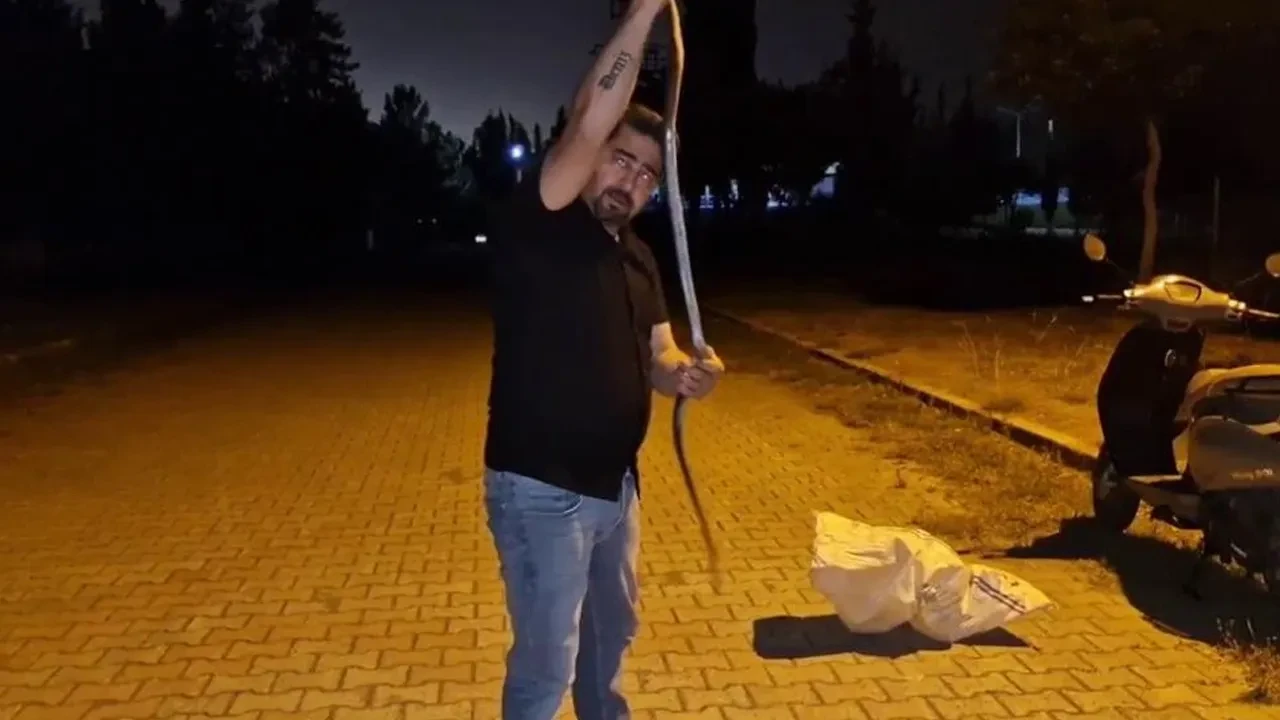 Çamaşır makinasını açınca dehşete düştü! 1 buçuk metrelik karayılan şoke etti