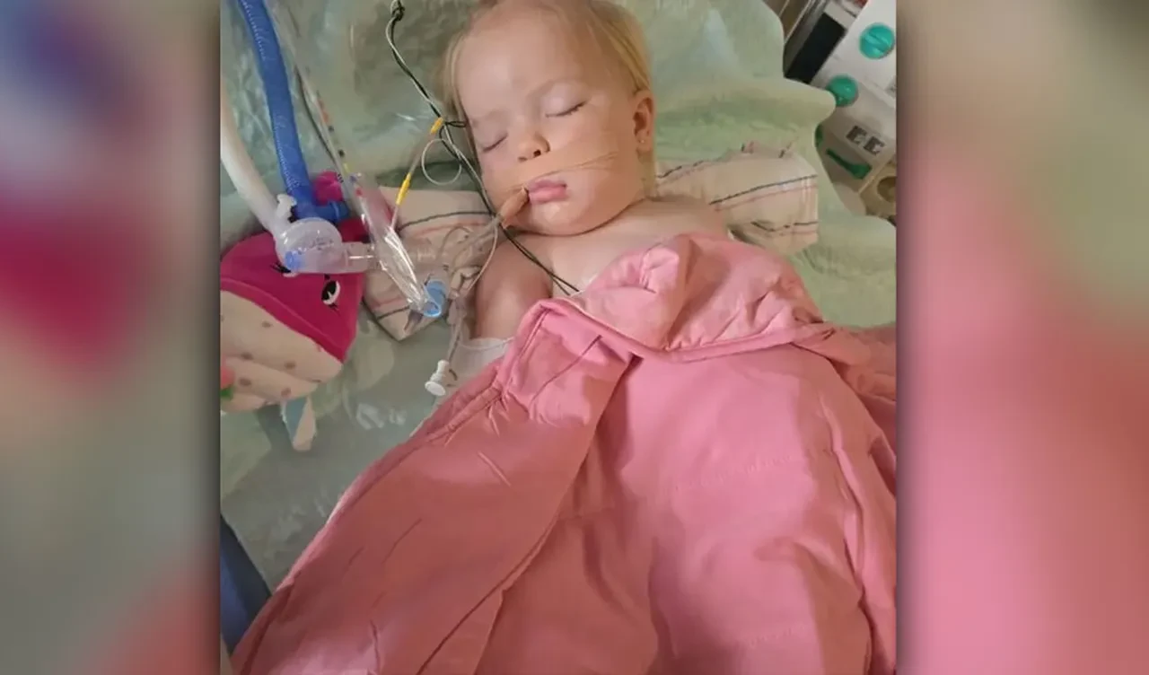 Çıngıraklı yılan 1 yaşındaki çocuğu 2 kez ısırdı! 30 şişe panzehirle zor kurtarıldı