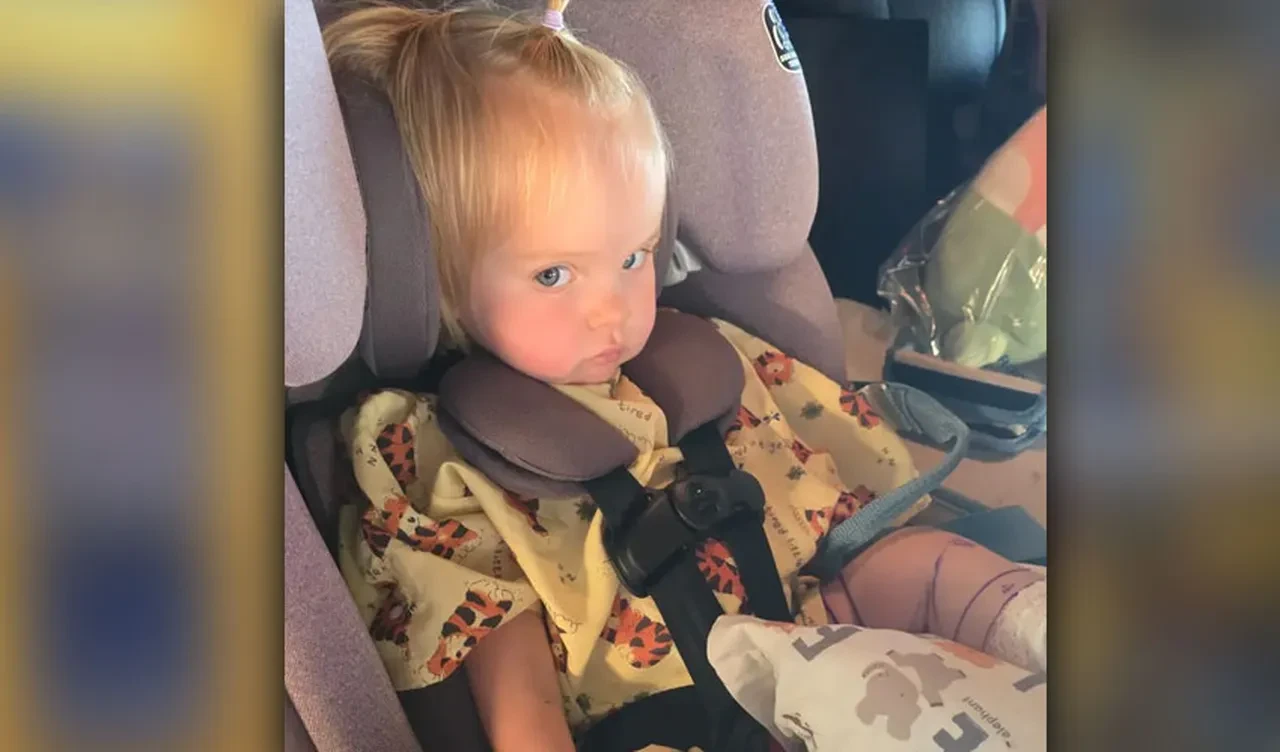 Çıngıraklı yılan 1 yaşındaki çocuğu 2 kez ısırdı! 30 şişe panzehirle zor kurtarıldı