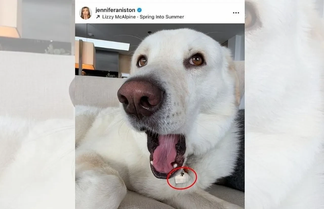 Friends oyuncusu Jennifer Aniston, telefon numarasını paylaşınca olanlar oldu