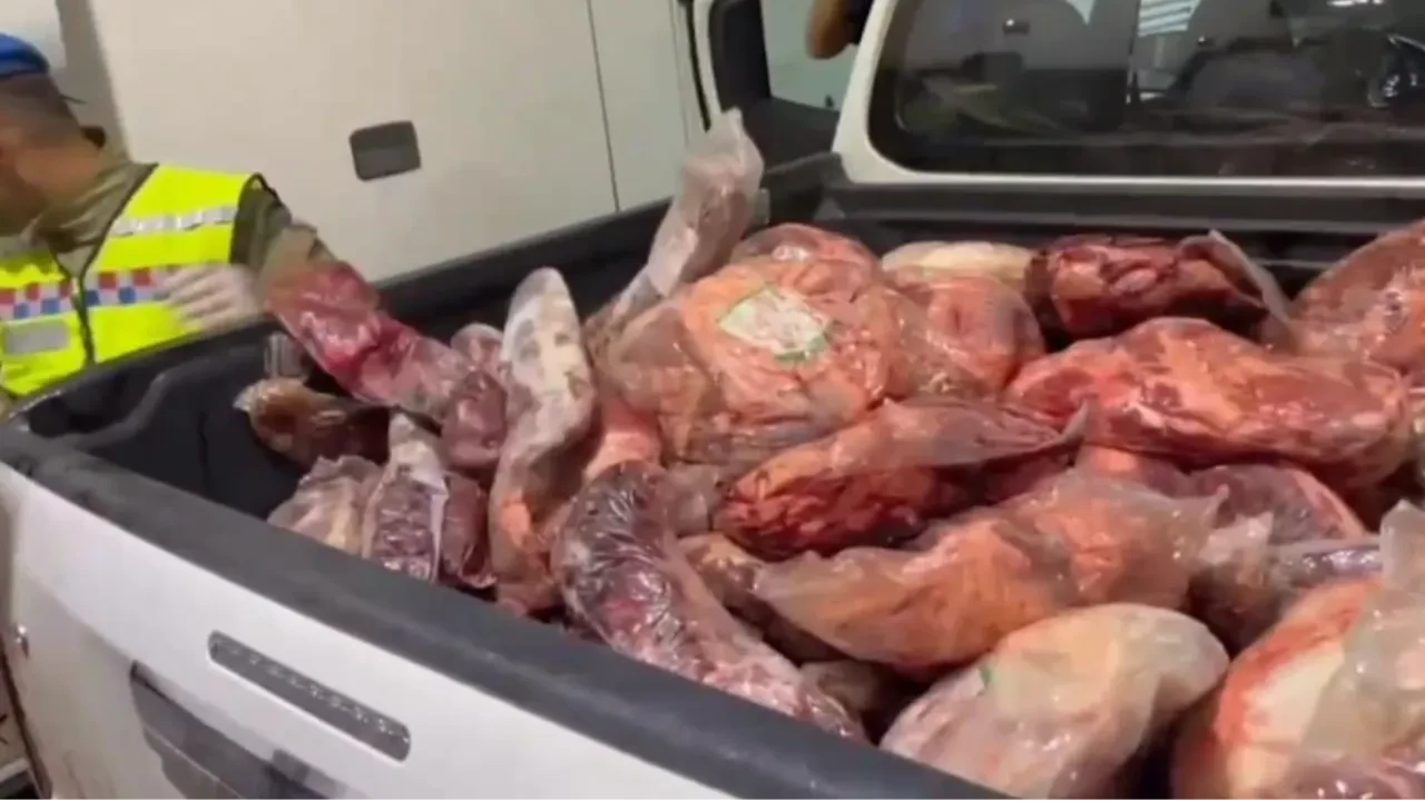 Halkın sağlığıyla oynayacaklardı! Yüzlerce kilo bozuk et ele geçirildi