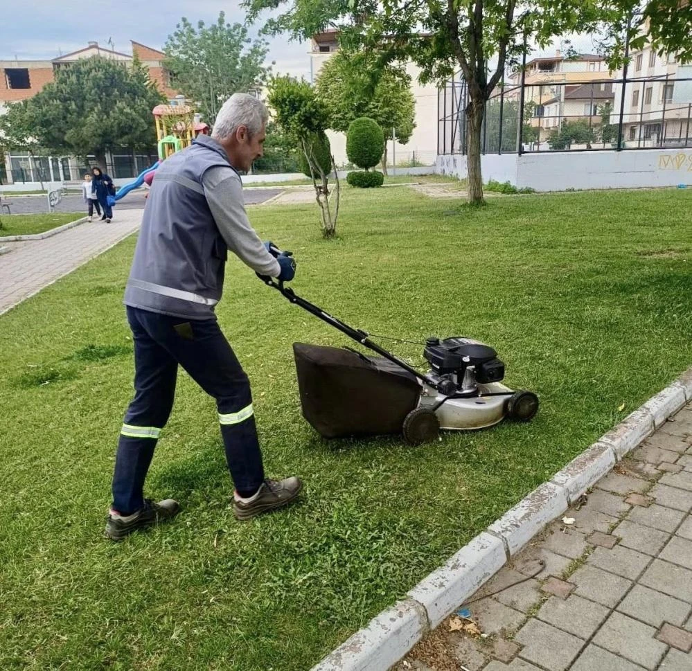 Körfez’de yaz seferberliği: Yabani otlar temizleniyor!