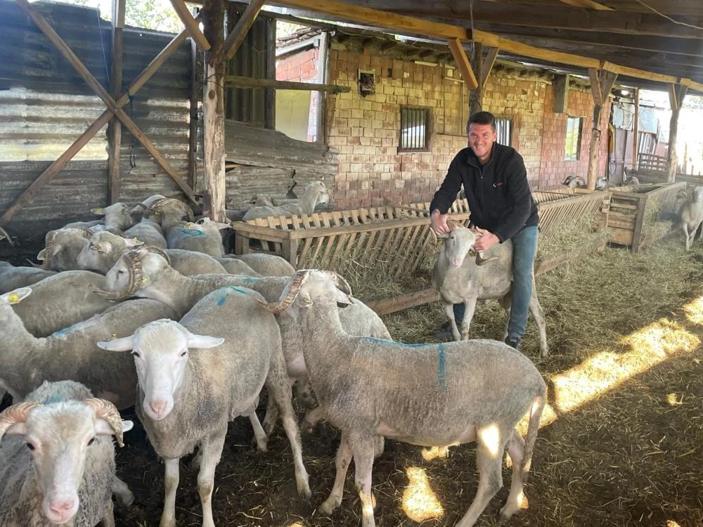 Bursa’da besicinin düğün hayali: Kurbanlık satışıyla evlenecek!