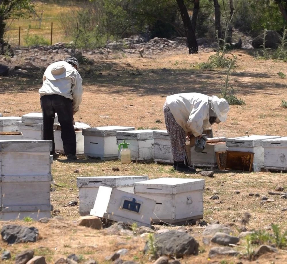 Yunusemre Belediyesi'nden arıcılığa kovan desteği