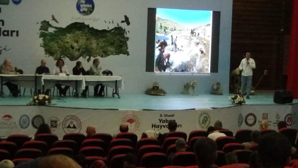 Van Gölü’nün incisi: İnci Kefalinin koruma mücadelesi