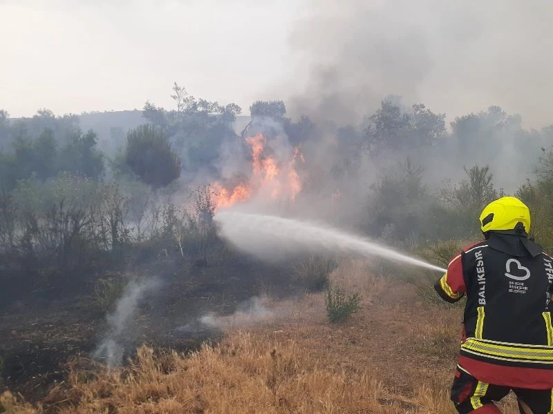 Balıkesir’de bir haftada 14 yangın vakası!