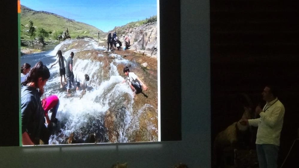 Van Gölü’nün incisi: İnci Kefalinin koruma mücadelesi