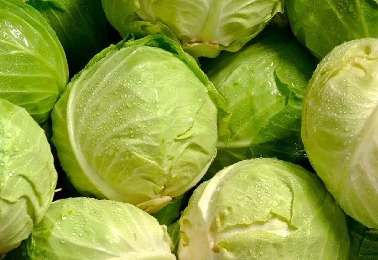 Sadece bir günde karaciğerinizi temizleyin! Bilim destekli 10 detoks önerisi