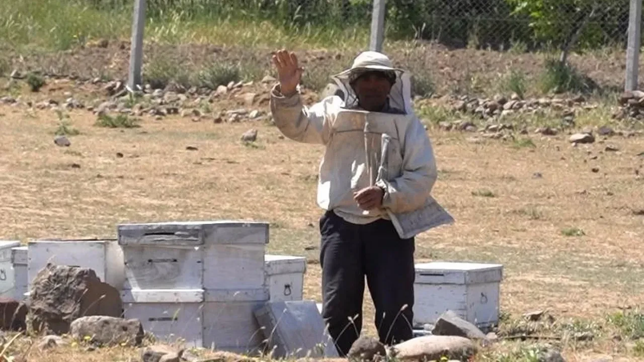 Yunusemre Belediyesi'nden arıcılığa kovan desteği