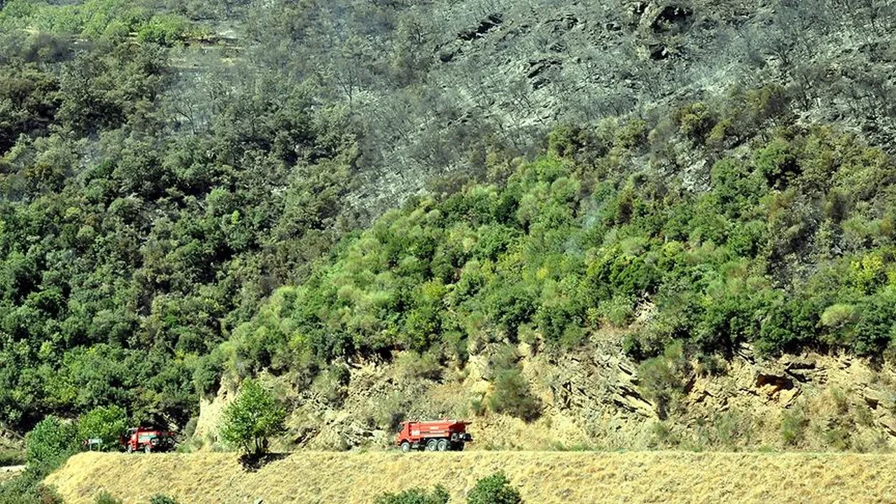 2B arazilerine tapu geliyor! Peki kimleri kapsayacak? Bakanlık açıkladı