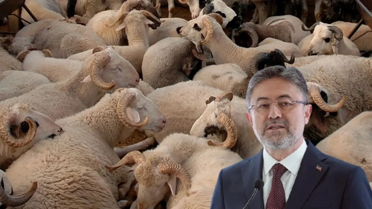 Bakan Yumaklı'dan vatandaşa kurbanlık uyarısı: 'Spekülasyon yapanları biliyoruz'