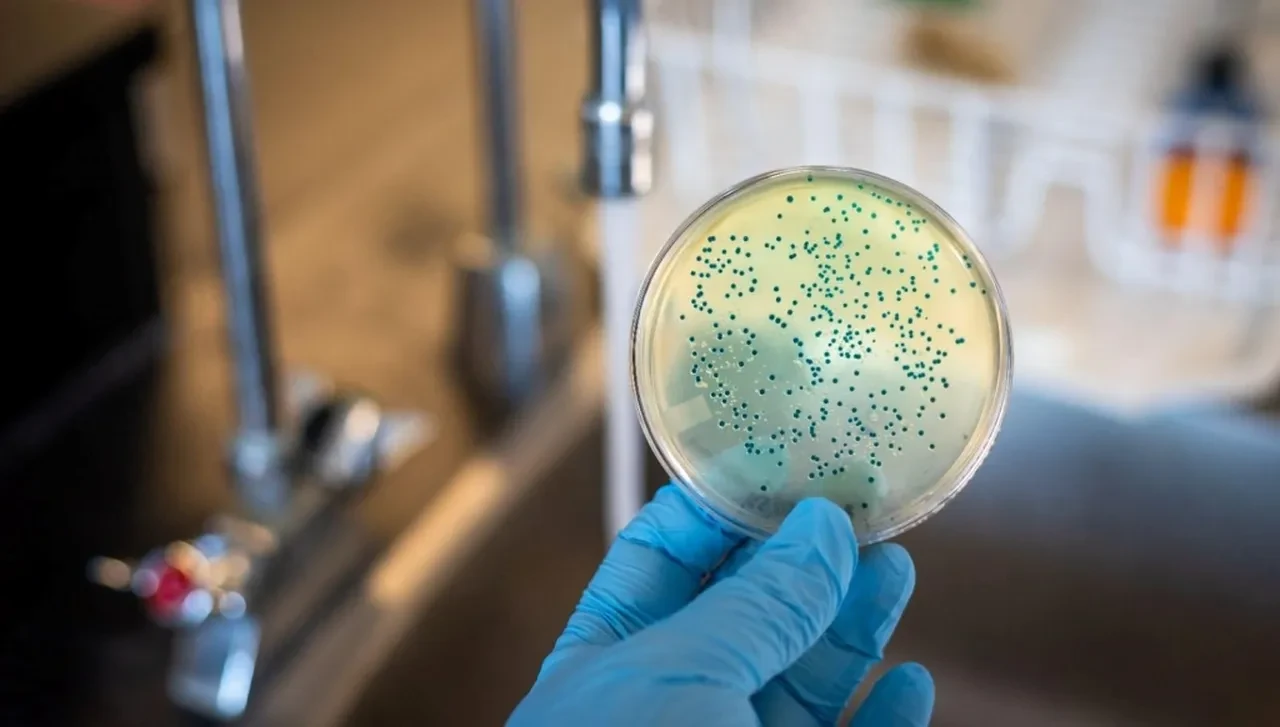 Hastanelerin yeni kâbusu keşfedildi! Tıbbi cihazları adeta yiyip bitiriyor