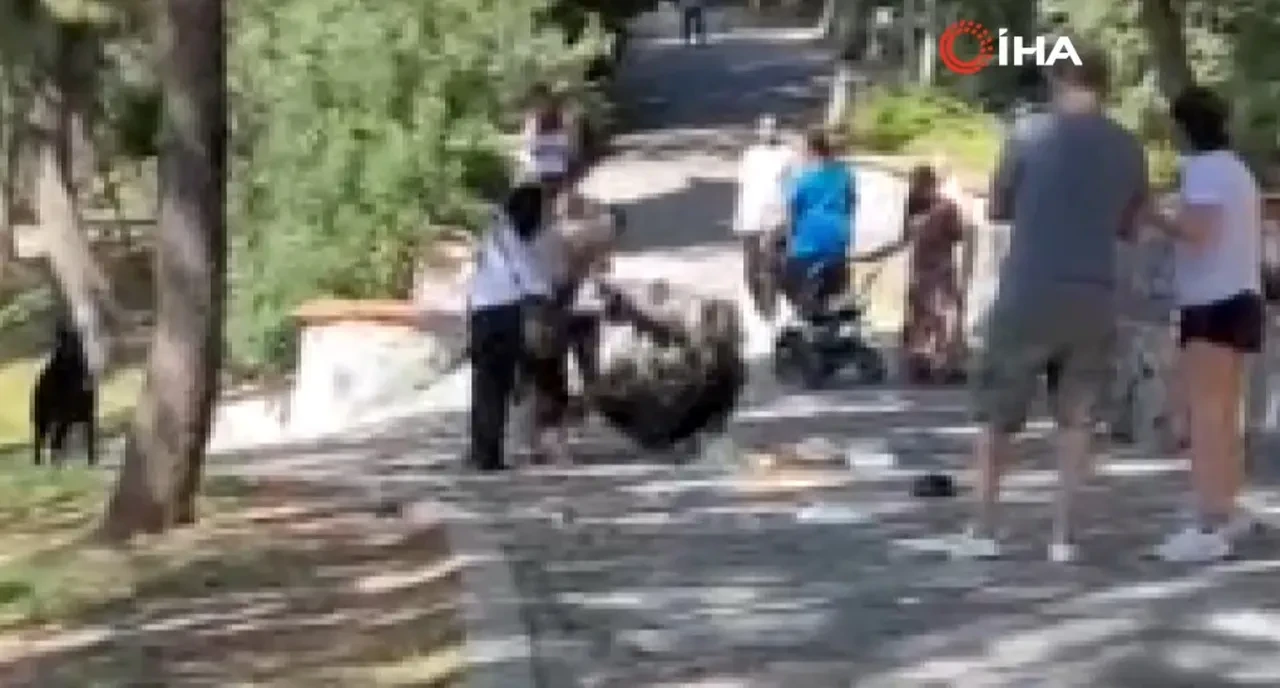 Köpeğini tasmasız gezdirdiği için kendisini uyaranlara saldırmıştı! İstenen ceza belli oldu