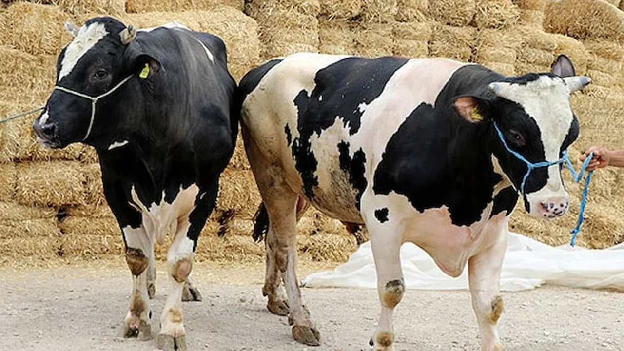 Tüketici Hakem Heyeti'nden emsal karar! Tüm tüketicileri ilgilendiriyor: Parasının tamamını aldı