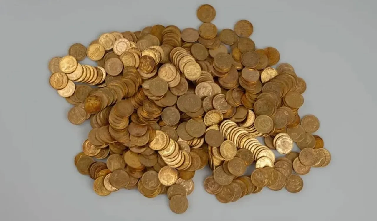 Yürüyüş yaparken gizemli kutu buldular! İçi dolu hazinenin tarihçesi şoke etti