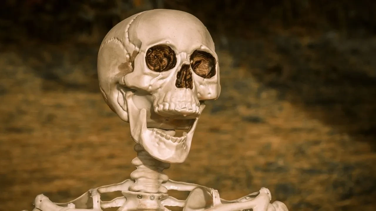 7000 yıllık kalıntı şaşkına uğrattı! 37 tane iskelet bulundu