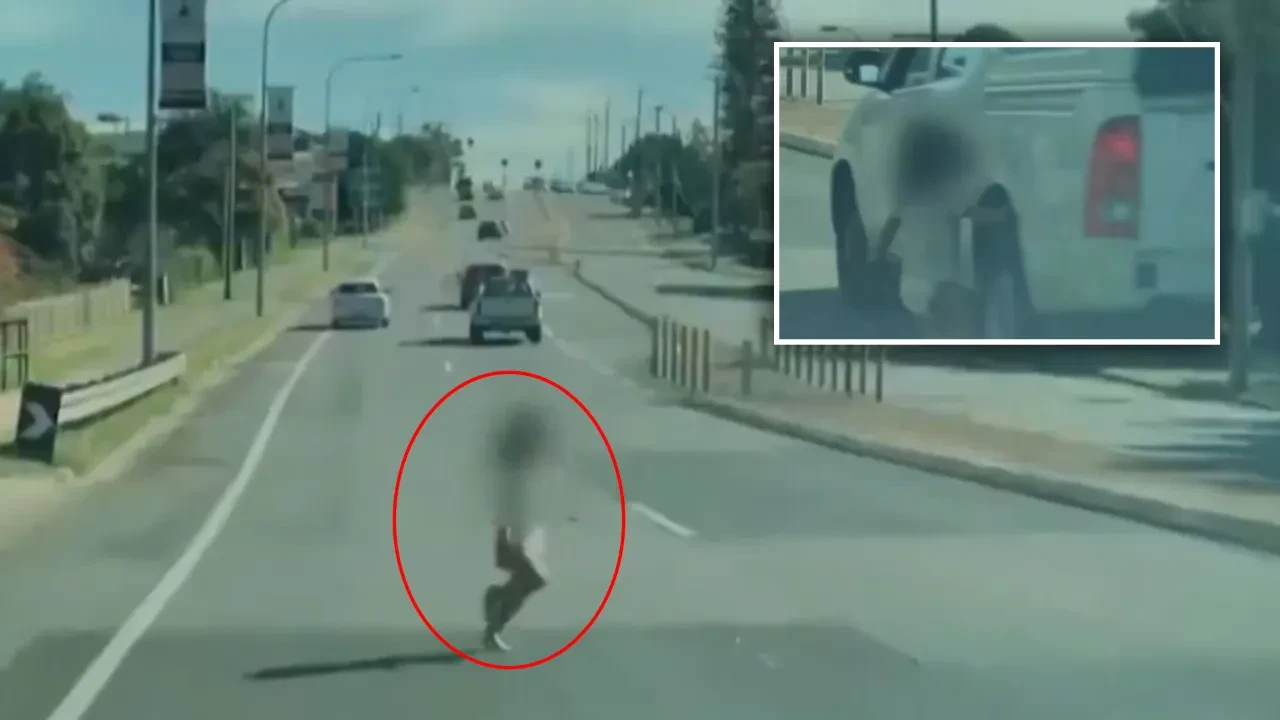 Aniden otoyola fırladı! Küçük çocuk yürekleri ağızlara getirdi