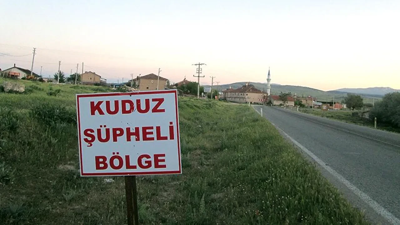 Hatay'da 4 mahalle kuduz karantinasına alındı