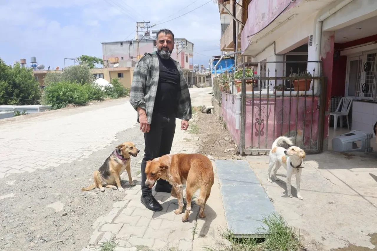 Hatay'da 4 mahalle kuduz karantinasına alındı