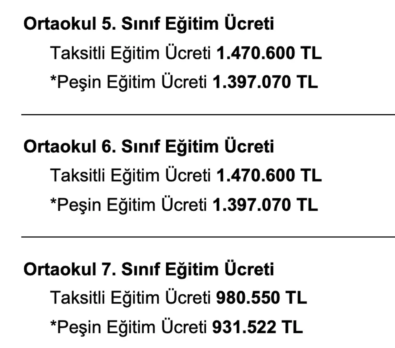İstanbul'da bulunan özel okulun anasınıfı ve ilkokul ücreti dudak uçuklattı!