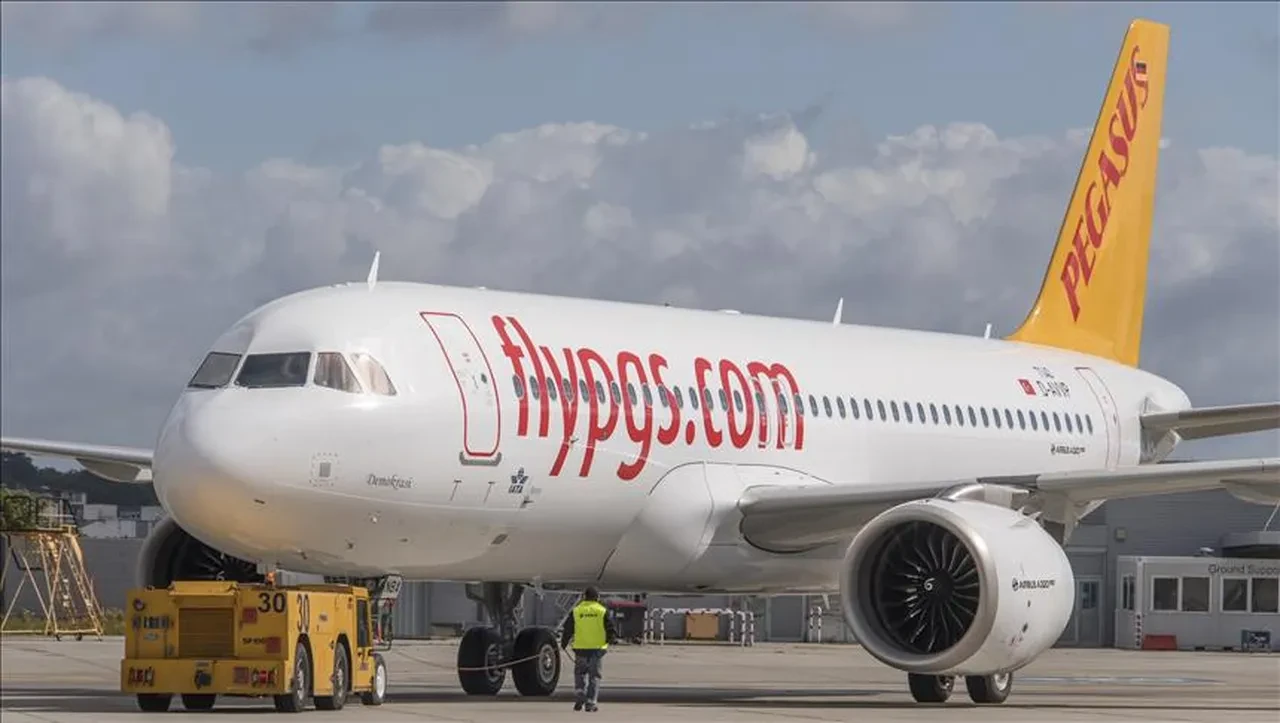 Pegasus uçak bileti 1 Euro 