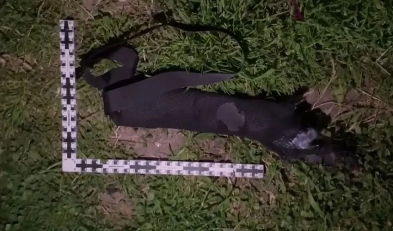 Belediye başkan yardımcısına intihar saldırısı! Zaur Gurtsiev feci şekilde hayatını kaybetti