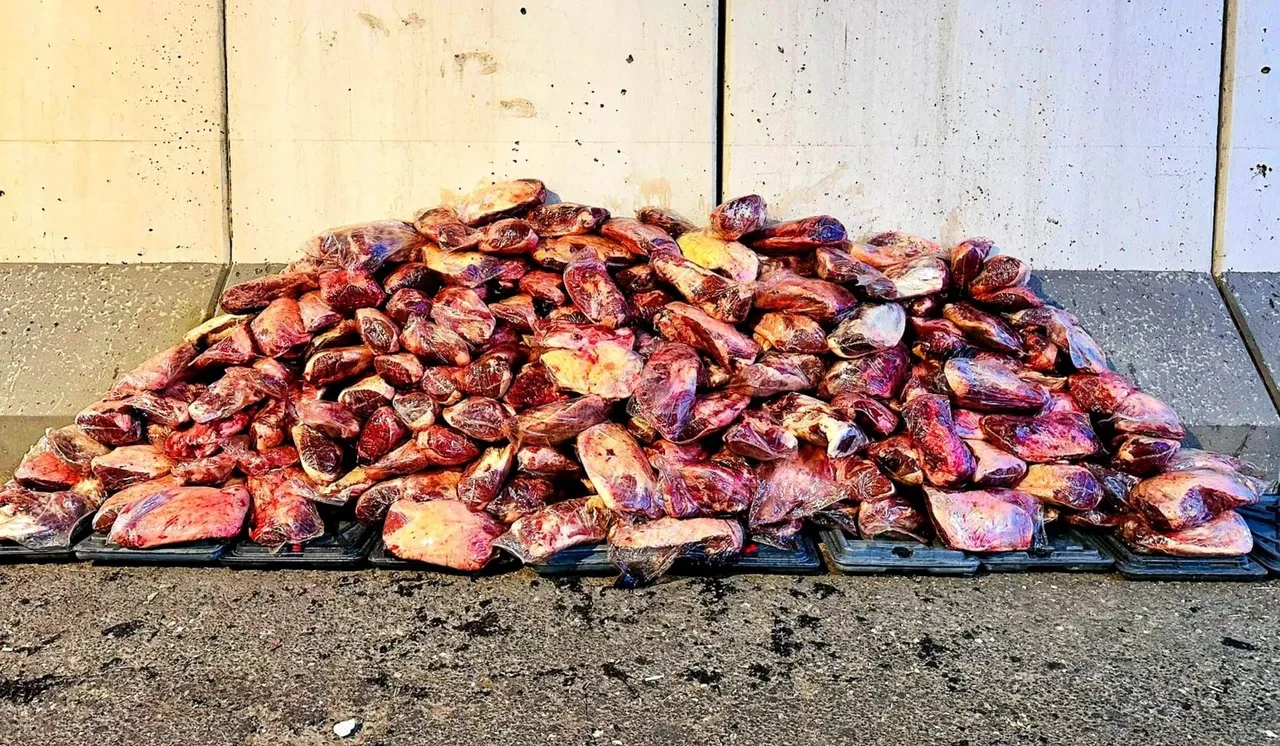 Mide bulandıran görüntüler: Tonlarca ele geçirildi! Ne eti olduğu bile belli değil