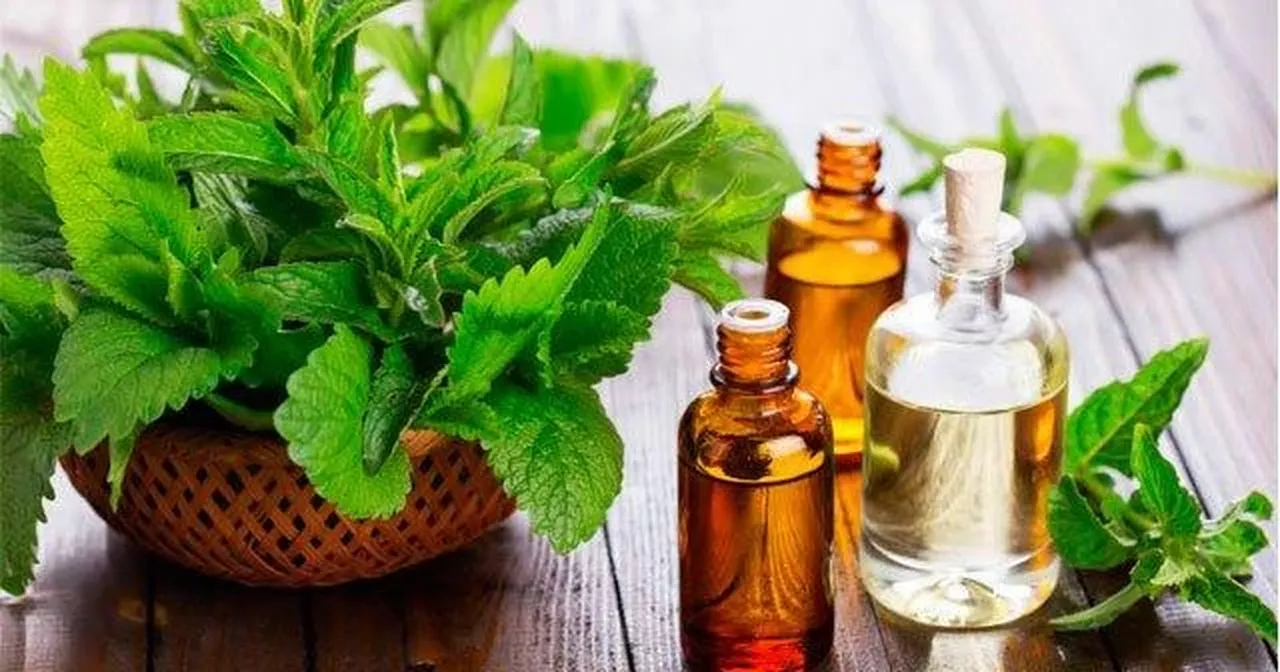 Otobüste ters koltuğa oturmaktan artık korkmayın! Mide bulantınızı geçirecek yöntem