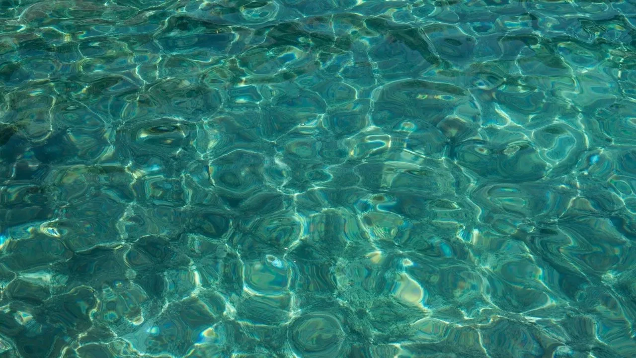 Yaz geldi, deniz sıcaklıkları arttı! Türkiye'de güncel deniz sıcaklıkları belli oldu