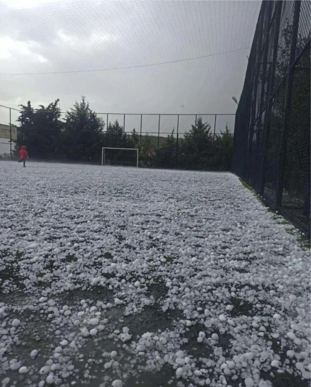 Adıyaman'da ceviz büyüklüğündeki dolu yağışı badem bahçelerine zarar verdi