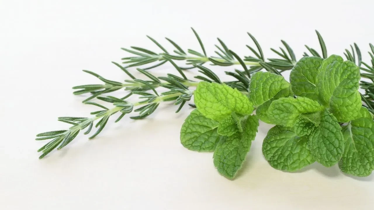 Eklem ve diz ağrısına anında çözüm: Bunu deneyenin ağrısı bitiyor