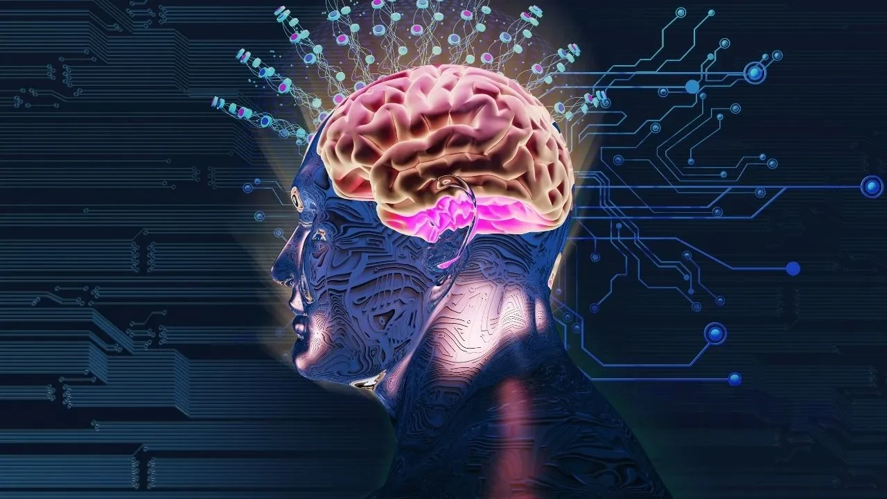 İnsan beyni hakkında ilginç keşif: Hafızamız sandığımızdan farklı çalışıyor