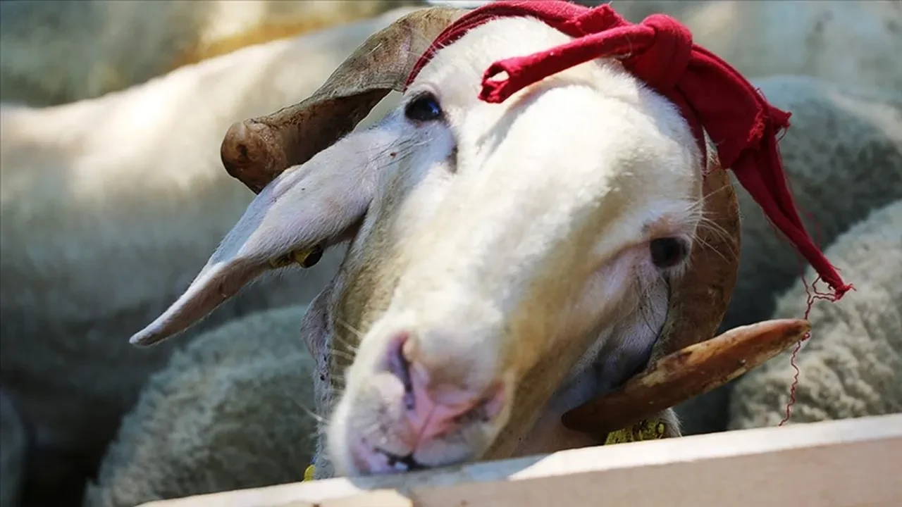 Kurban Bayramı tatili kaç gün?