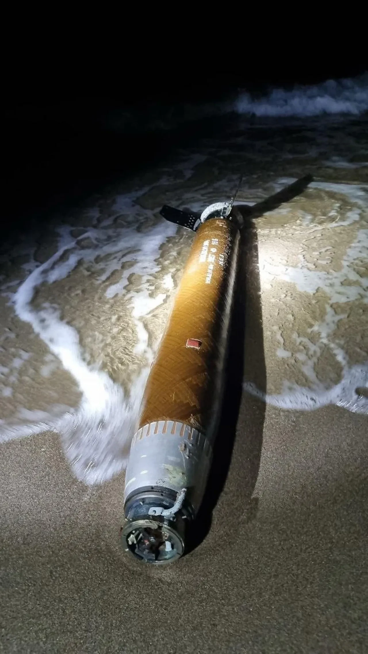 Sakarya'da ekipler alarma geçti! Sahilde görenler şoke oldu! 