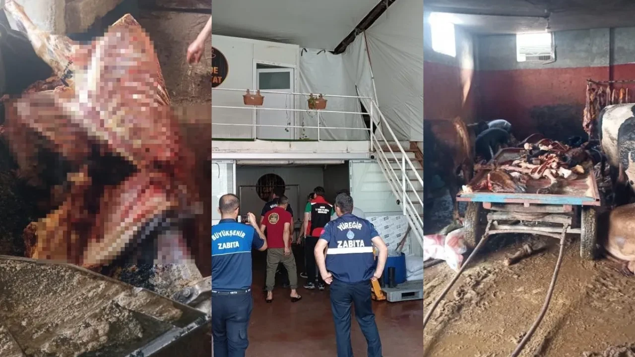 Adana'da mide bulandıran görüntüler! Tam 2.5 ton at etini vatandaşa yedireceklerdi 