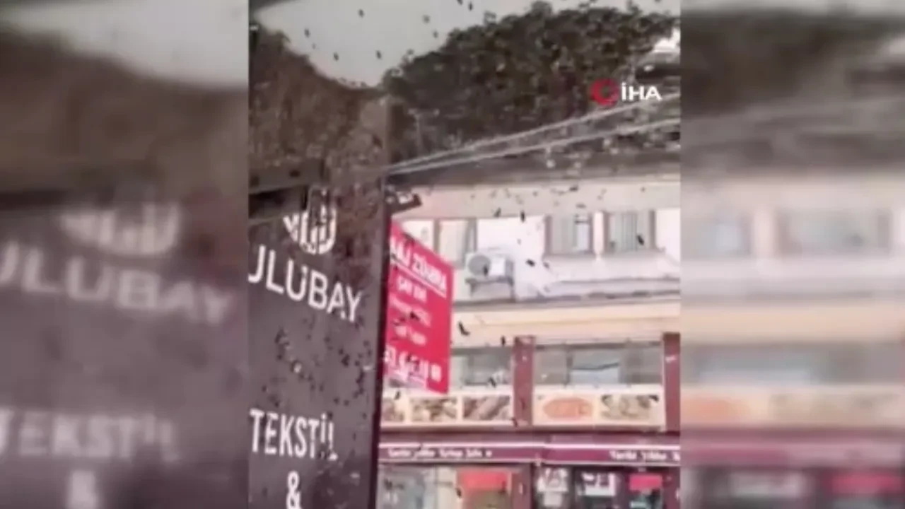 Arılar iş merkezini bastı, çalışanları esir aldı! Korku dolu anlar kamerada