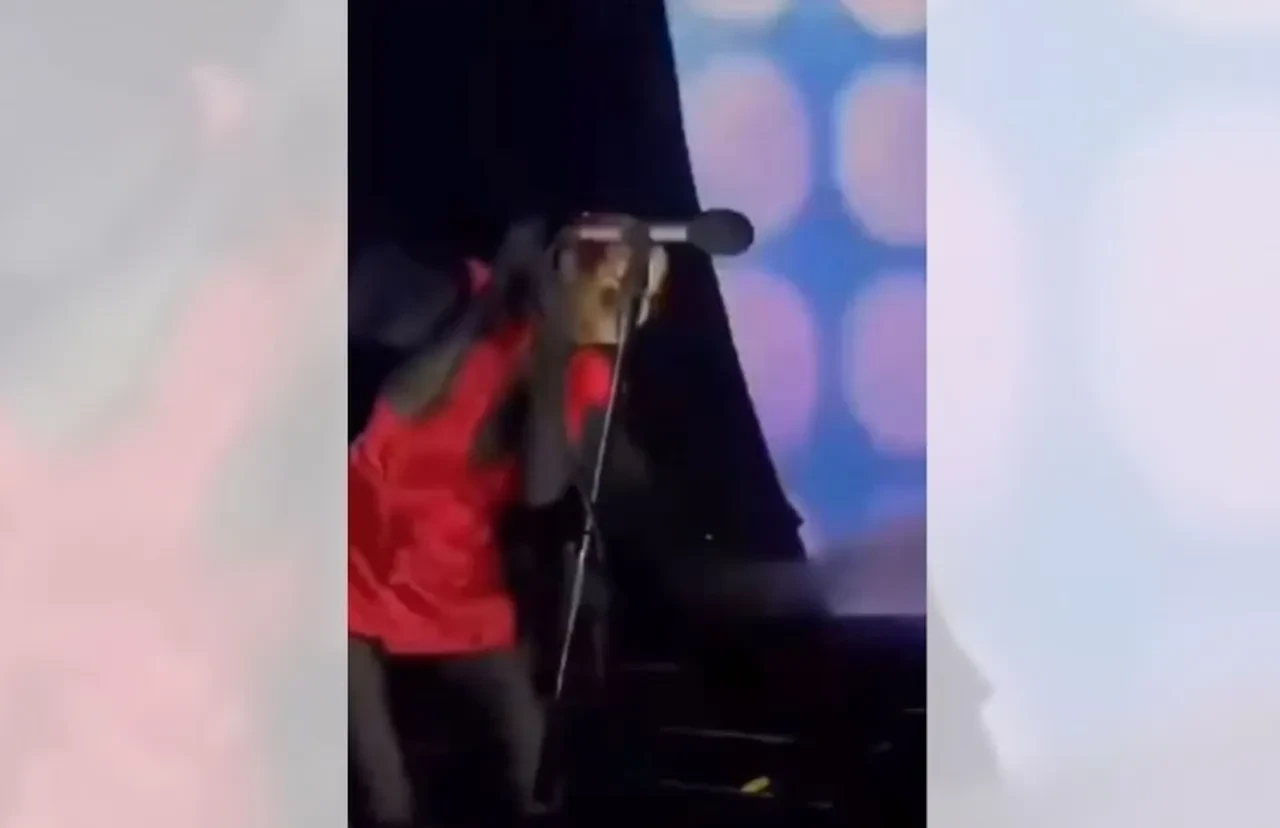 Derya Uluğ'a konserde saldırı! Yürekler ağza geldi
