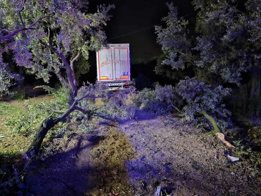 Bursa’da tır otomobili biçip zeytinliğe daldı, 1 kişi hayatını kaybetti