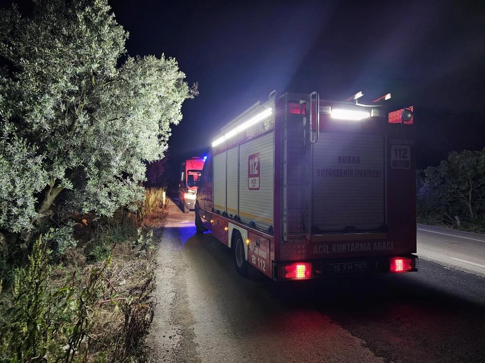 Bursa’da tır otomobili biçip zeytinliğe daldı, 1 kişi hayatını kaybetti