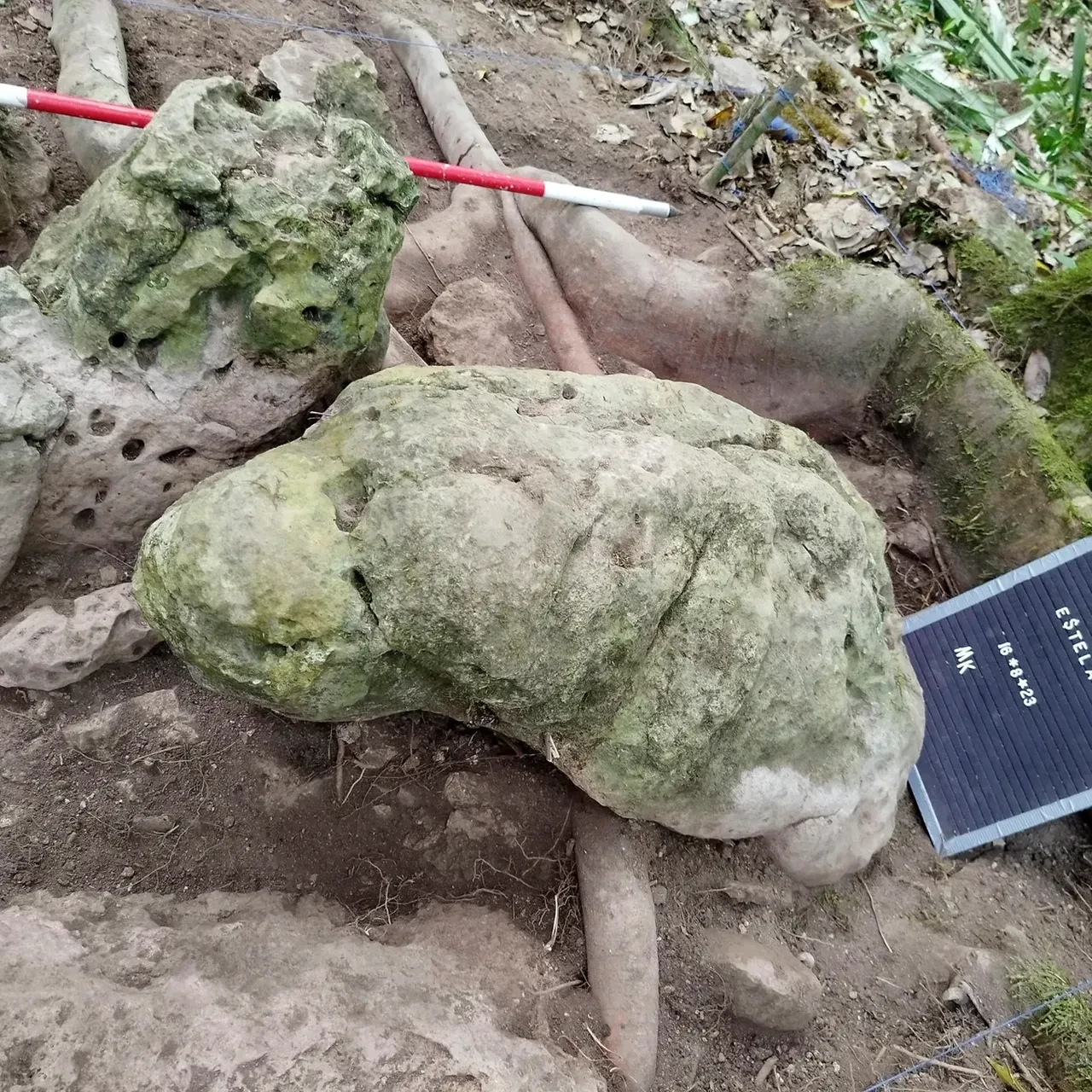 Kimse bu ormana girmeye cesaret edemiyordu! Altından 3 bin yıllık Maya şehri çıktı