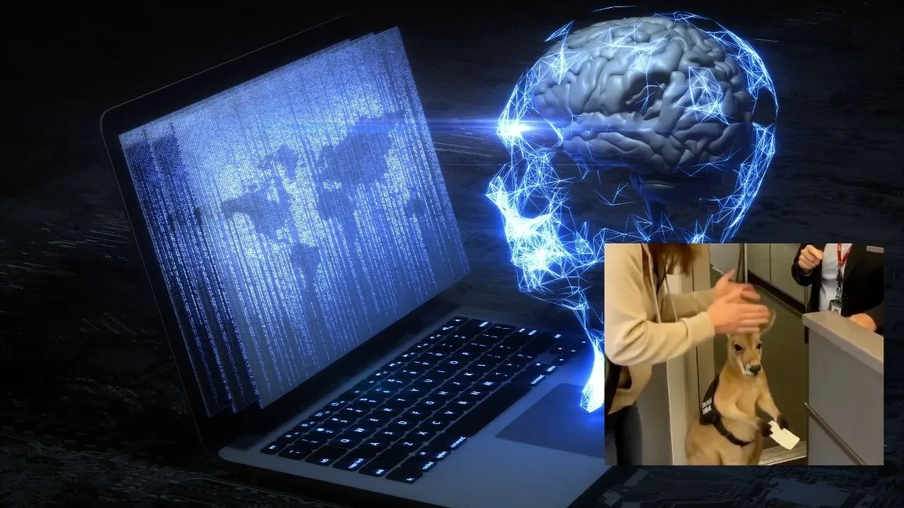 Bir videonun yapay zeka olup olmadığı nasıl anlaşılır? En etkili 5 yol
