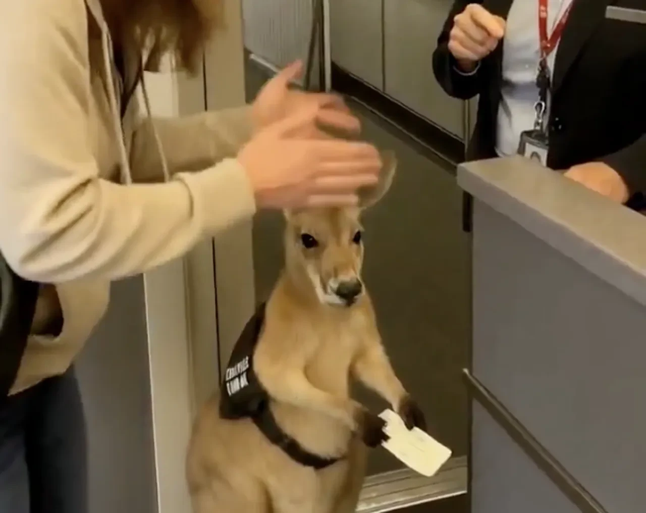 Bir videonun yapay zeka olup olmadığı nasıl anlaşılır? En etkili 5 yol