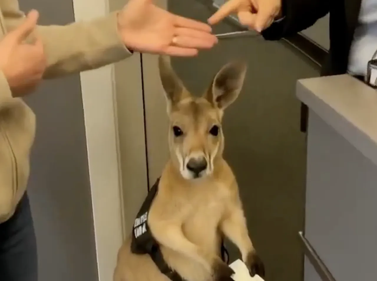 Bir videonun yapay zeka olup olmadığı nasıl anlaşılır? En etkili 5 yol